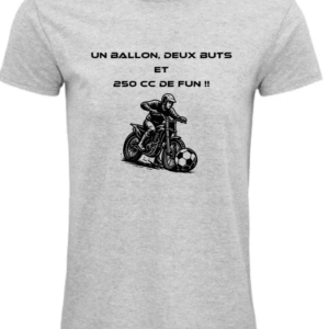 T-Shirt Unisexe 250 cc gris