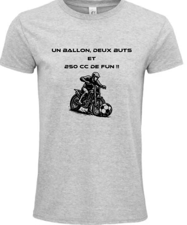 T-Shirt Unisexe 250 cc gris